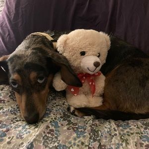 Meet your Posher, Deana